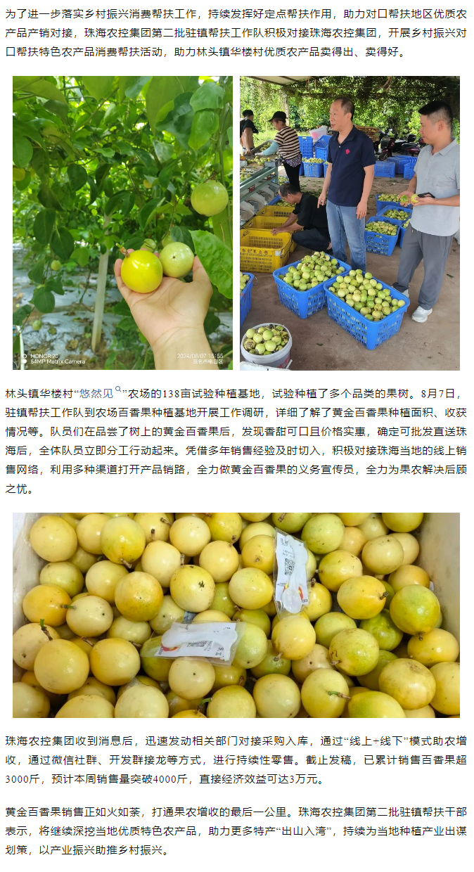 乐投网(中国)集团助力产销对接 对口帮扶果香飘百里.png